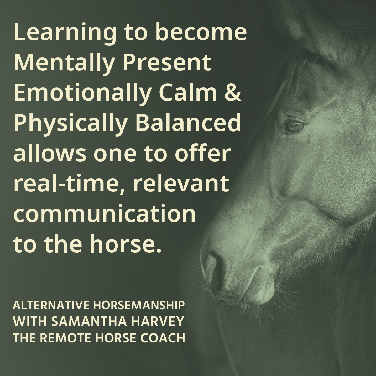 Alternative Horsemanship™ the Remote Horse Coach on Instagram