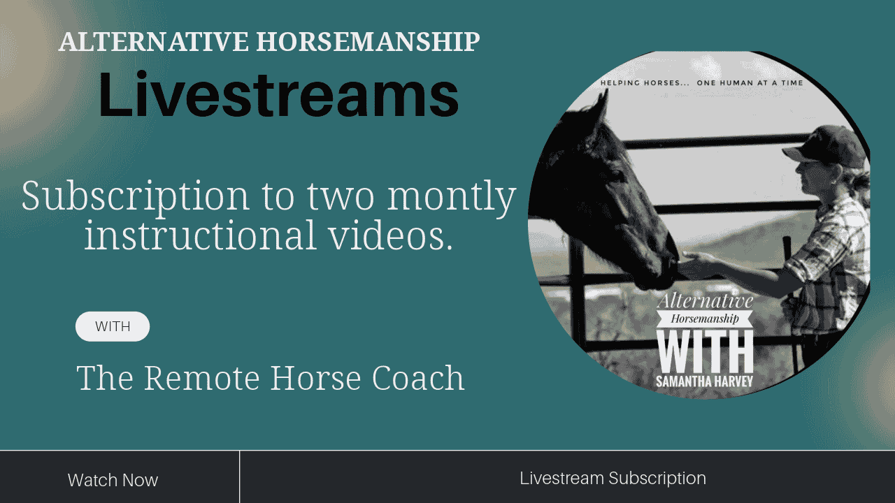 Alternative Horsemanship™ Livestreams