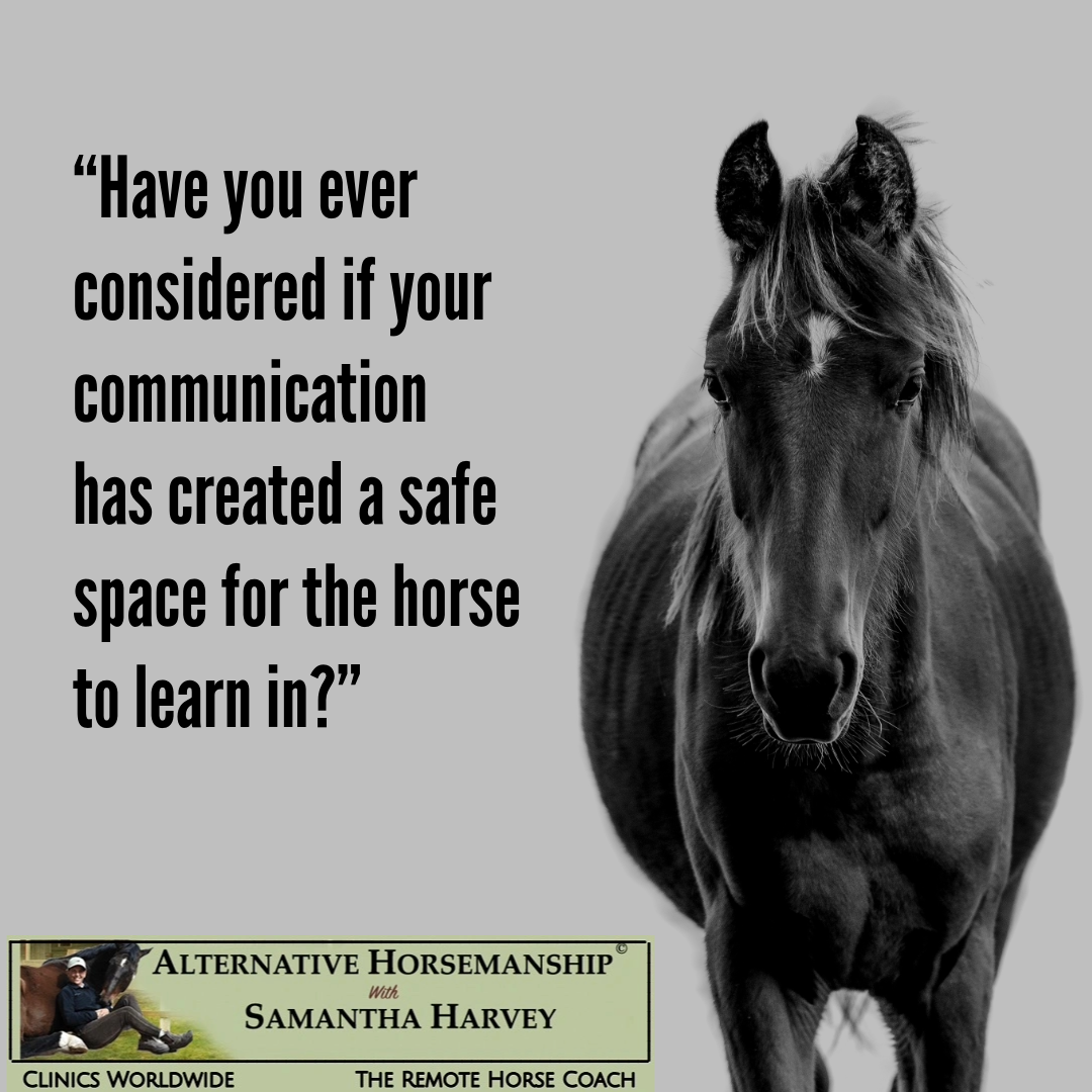 Alternative Horsemanship™ the Remote Horse Coach Horse Learning Quote