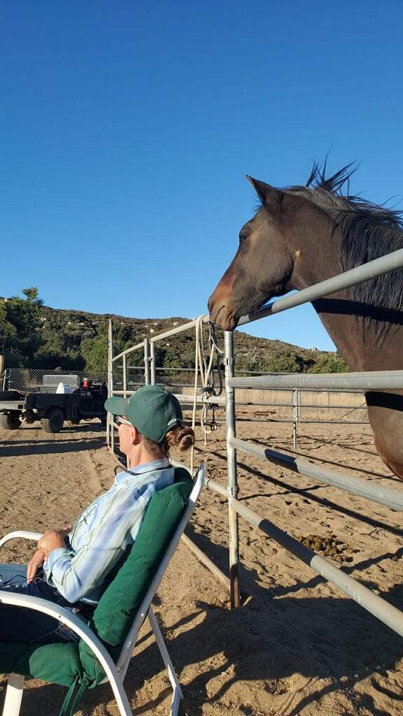 Virtual Horse Coach Samantha Harvey sitting in a chair teaching with a morgan horse watching from behind