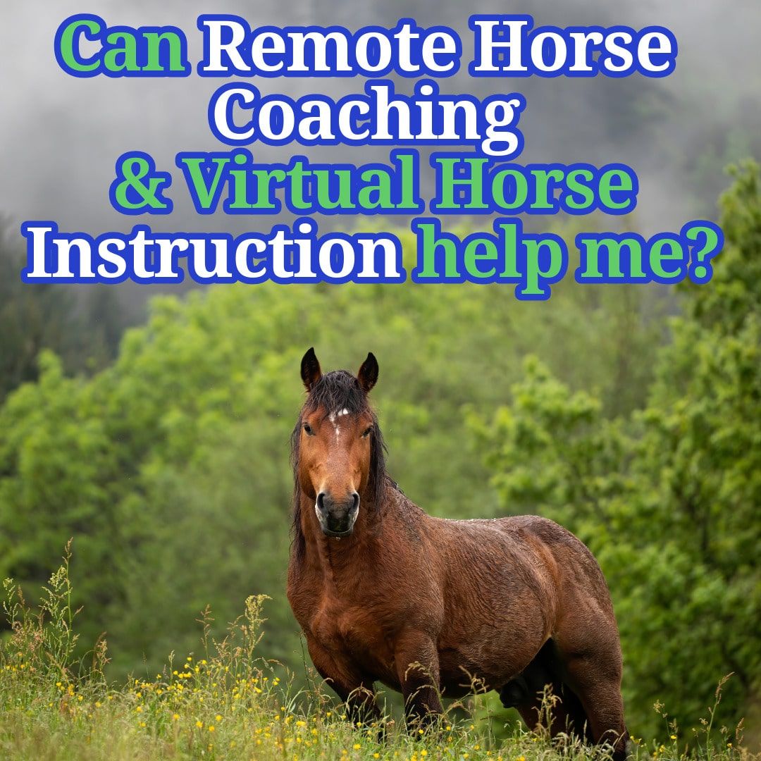 Virtual, Distance and Remote Horse Coaching