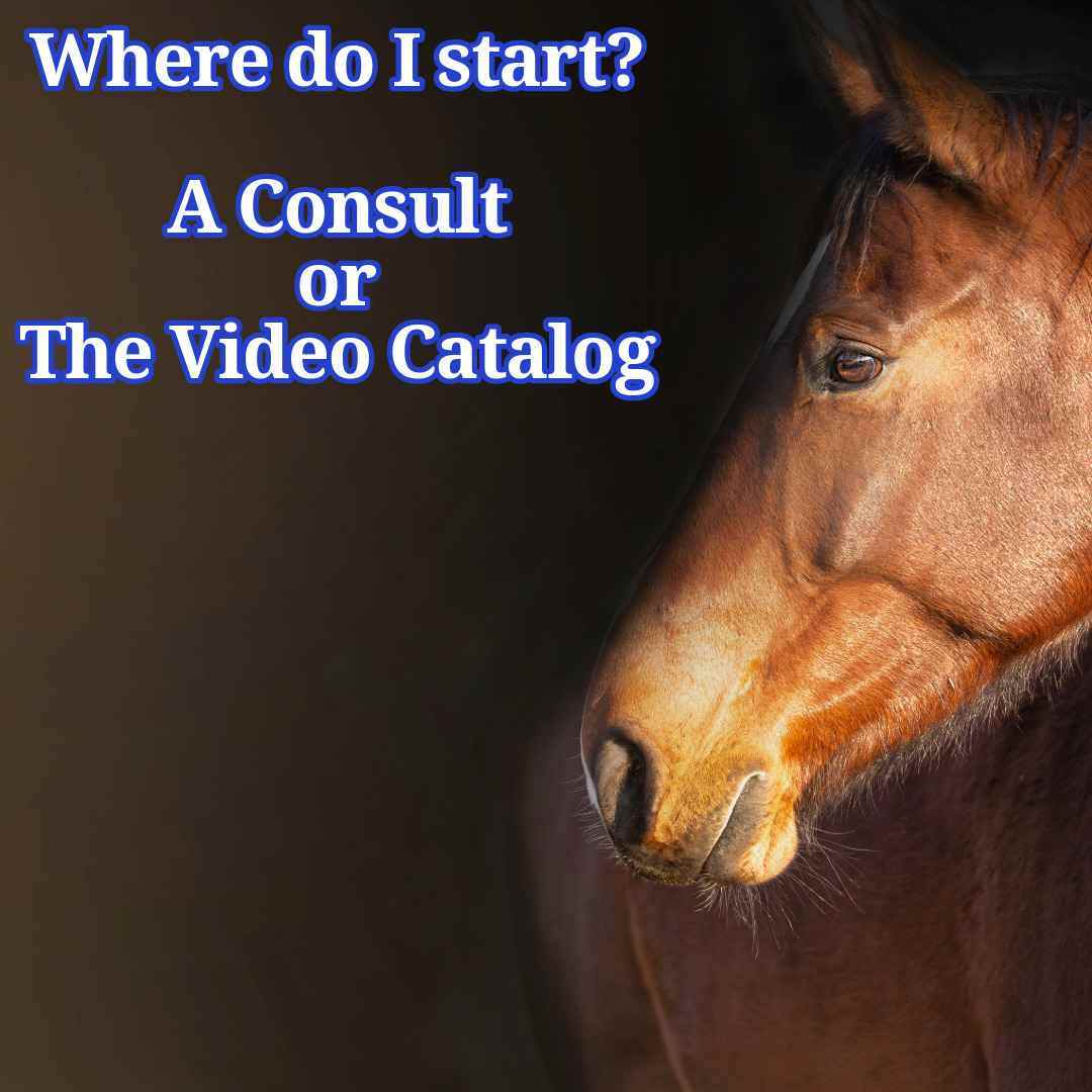 The Remote Horse Coach Consults and Video Catalog