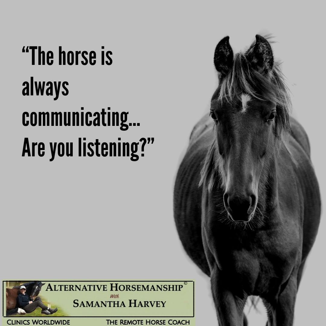 Alternative Horsemanship™ Communication Quote with Horse