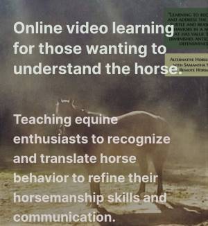 Alternative Horsemanship™ the Remote Horse Coach