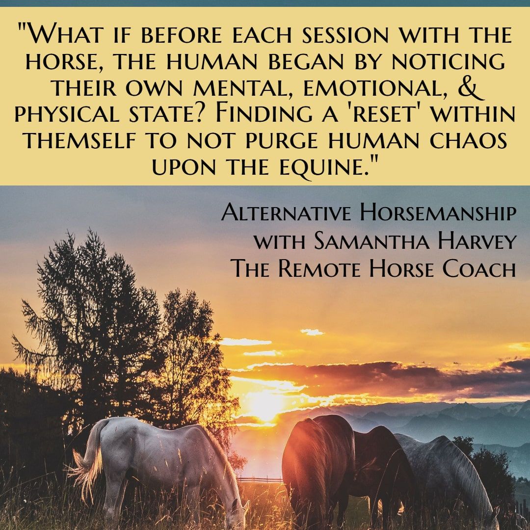 Alternative Horsemanship™ the Remote Horse Coach Horse Human Emotion Quote
