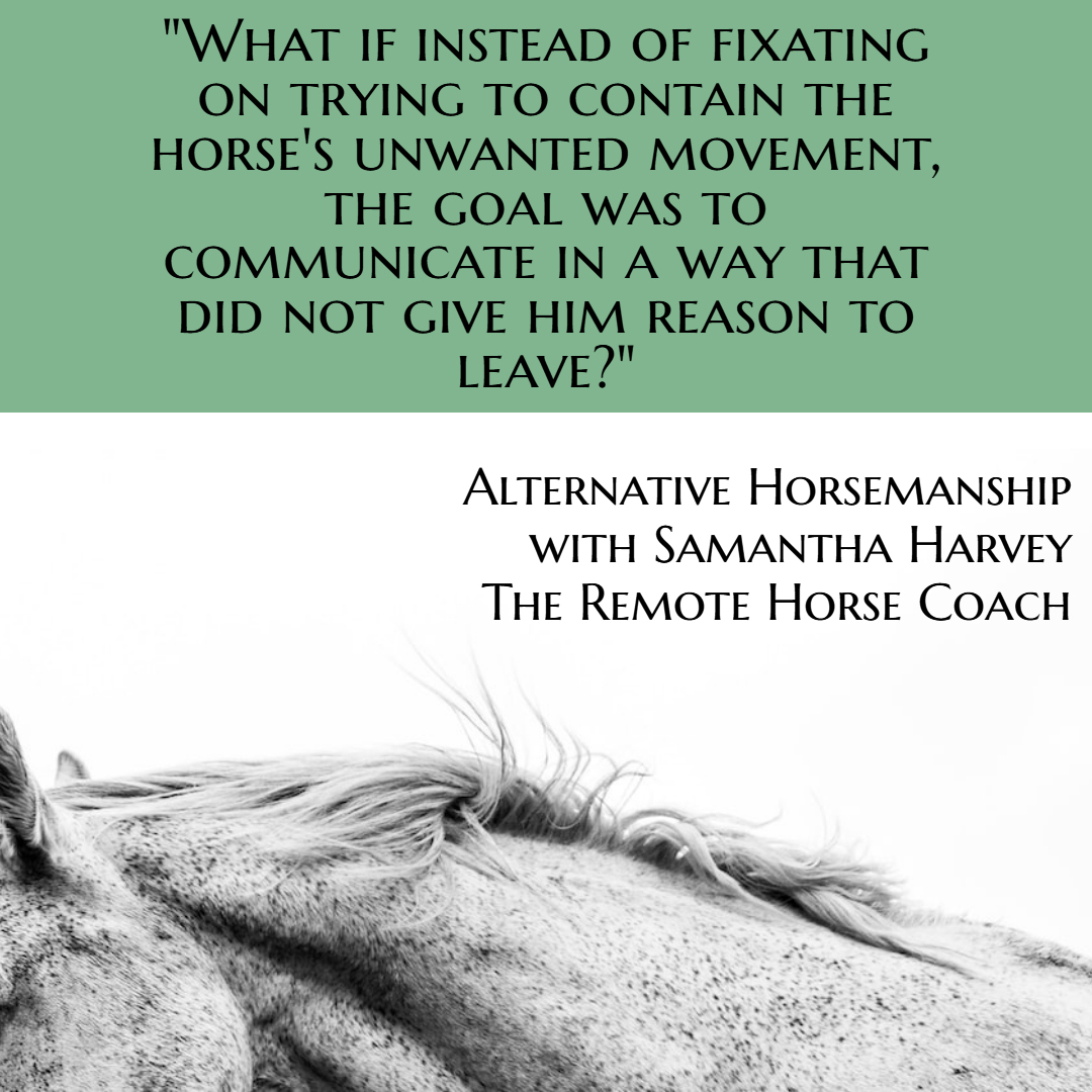 Horse behavior problems with Alternative Horsemanship™ the Remote Horse Coach