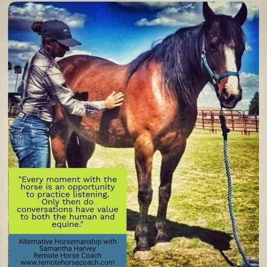 Alternative Horsemanship Quote