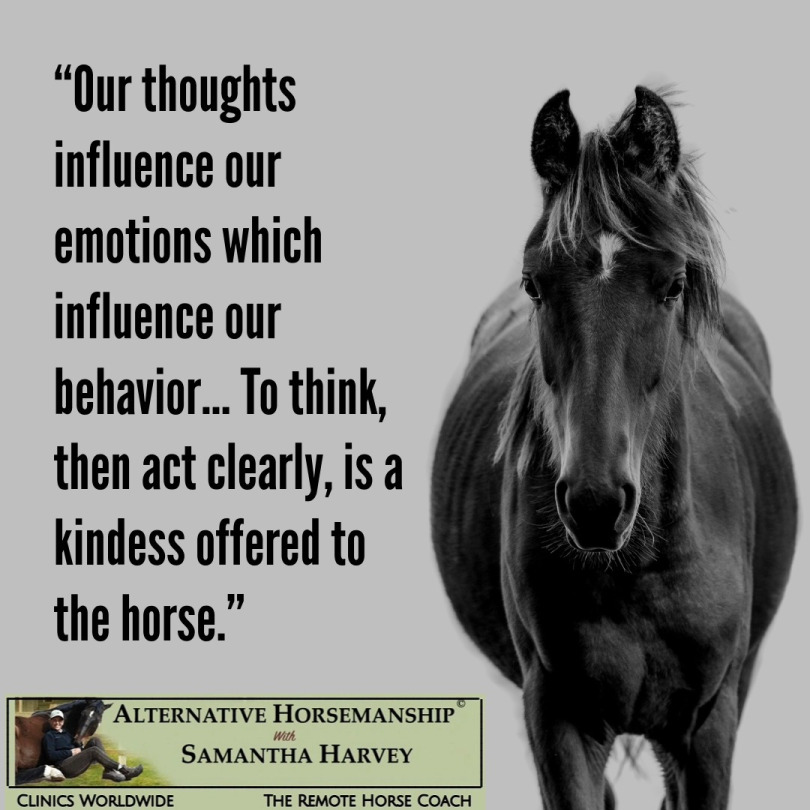 Alternative Horsemanship™ Kindness Quote with Horse