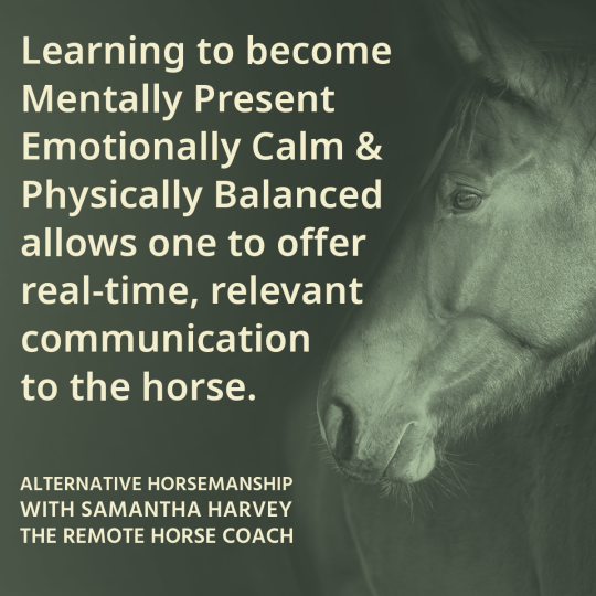 Alternative Horsemanship™ Quote