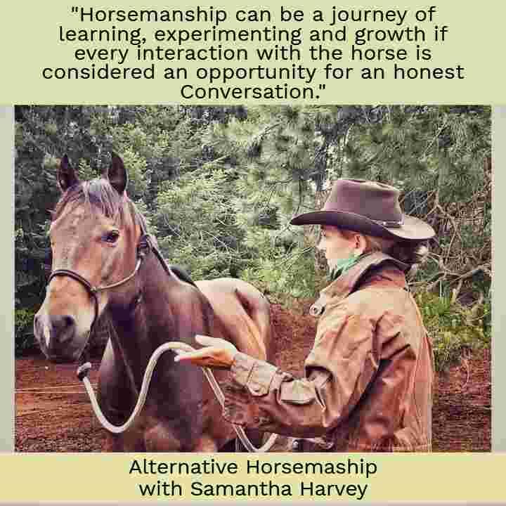 Alternative Horsemanship the Remote Horse Coach