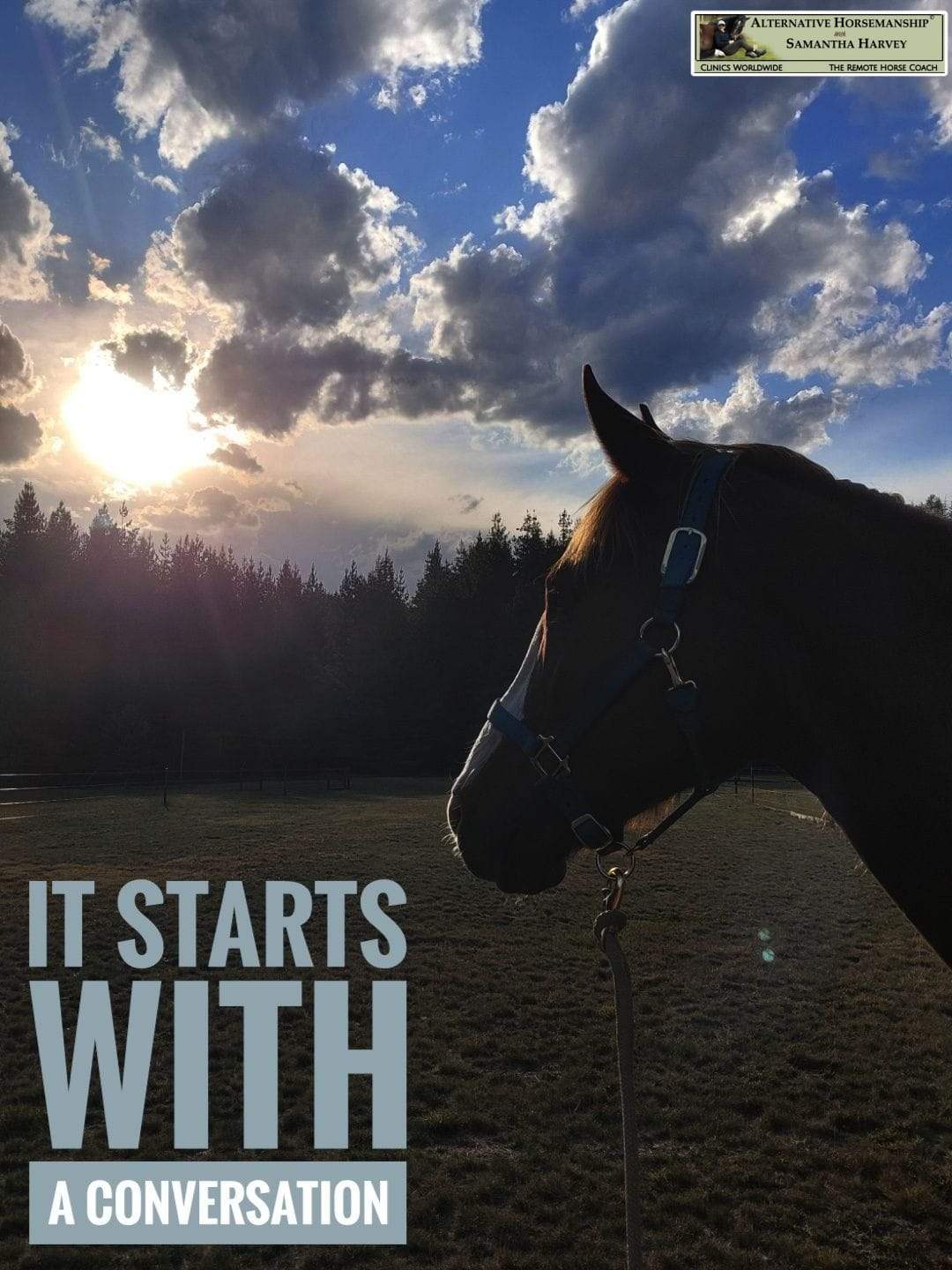 Alternative Horsemanship™ the Remote Horse Coach