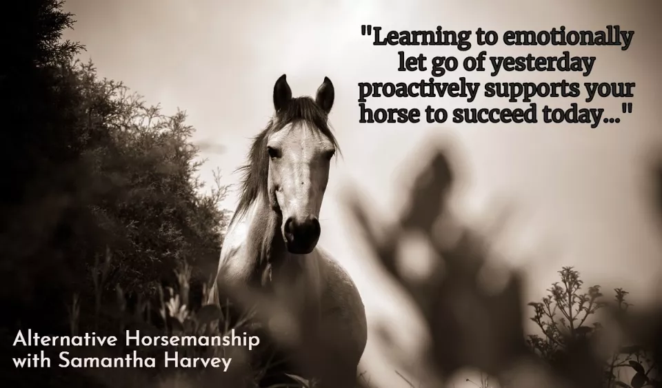 Alternative Horsemanship™ Quote