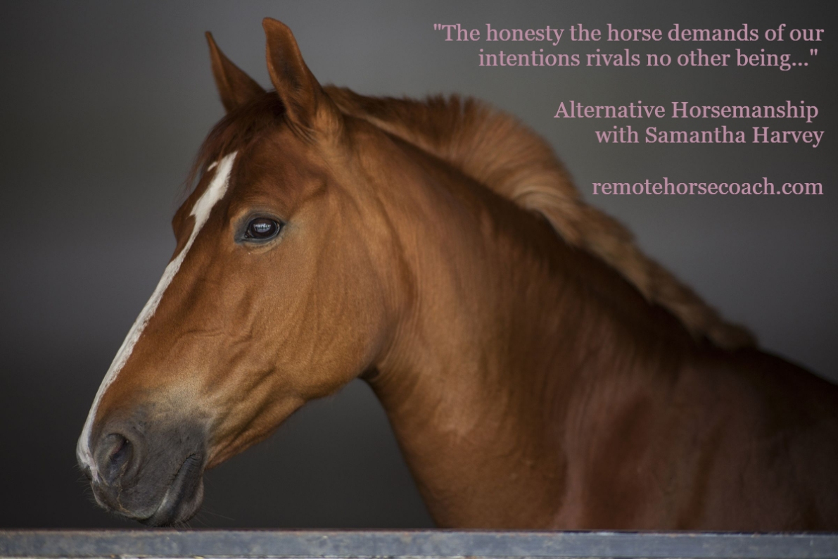 Alternative Horsemanship™ Emotional Horse Quote