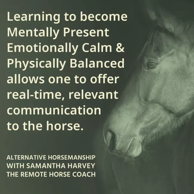 Remote Horse Coach Quote